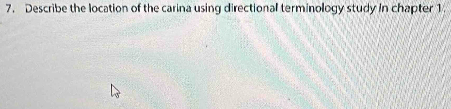 Describe the location of the carina using directional terminology study in chapter 1.