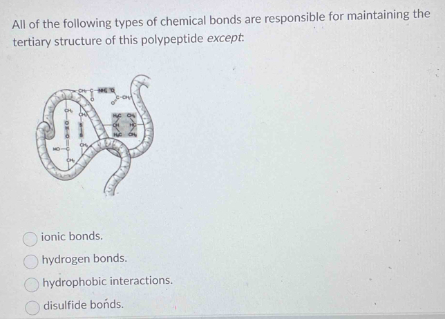 All of the following types of chemical bonds are responsible for maintaining the
tertiary structure of this polypeptide except.
ionic bonds.
hydrogen bonds.
hydrophobic interactions.
disulfide bonds.