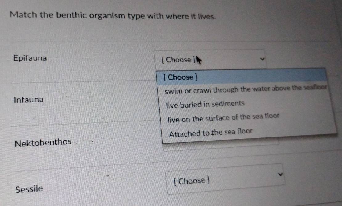 Match the benthic organism type with where it lives.
Epifauna [ Choose
[ Choose ]
swim or crawl through the water above the seafloor
Infauna
live buried in sediments
live on the surface of the sea floor
Nektobenthos Attached to the sea floor
Sessile [ Choose ]