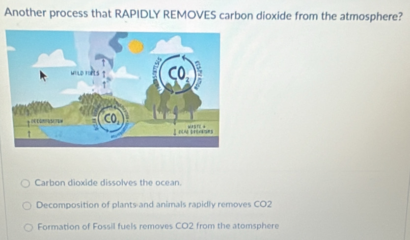 Another process that RAPIDLY REMOVES carbon dioxide from the atmosphere?
Carbon dioxide dissolves the ocean.
Decomposition of plants and animals rapidly removes CO2
Formation of Fossil fuels removes CO2 from the atomsphere