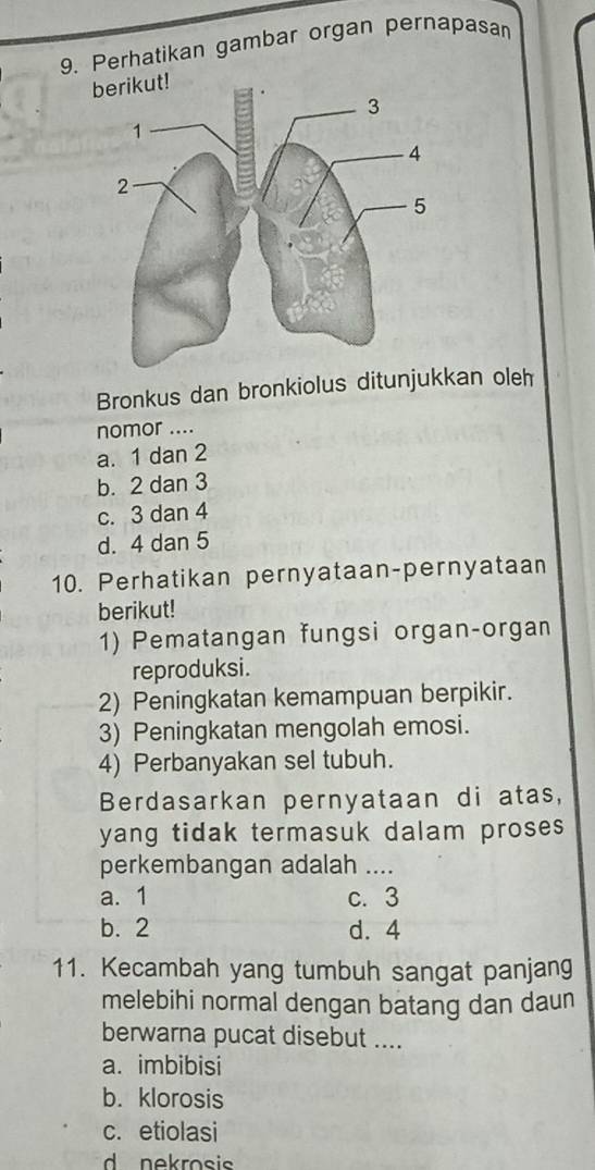 Perhatikan gambar organ pernapasan
Bronkus dan bronkiolus ditunjukkan oleh
nomor ....
a. 1 dan 2
b. 2 dan 3
c. 3 dan 4
d. 4 dan 5
10. Perhatikan pernyataan-pernyataan
berikut!
1) Pematangan fungsi organ-organ
reproduksi.
2) Peningkatan kemampuan berpikir.
3) Peningkatan mengolah emosi.
4) Perbanyakan sel tubuh.
Berdasarkan pernyataan di atas,
yang tidak termasuk dalam proses 
perkembangan adalah ....
a. 1 c. 3
b. 2 d. 4
11. Kecambah yang tumbuh sangat panjang
melebihi normal dengan batang dan daun
berwarna pucat disebut ....
a. imbibisi
b. klorosis
c. etiolasi
d nekrosis