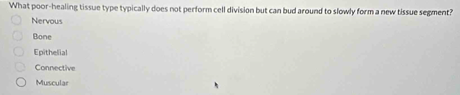 What poor-healing tissue type typically does not perform cell division but can bud around to slowly form a new tissue segment?
Nervous
Bone
Epithelial
Connective
Muscular