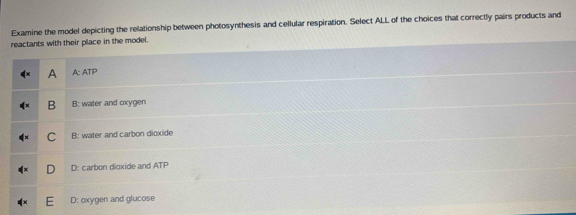 Examine the model depicting the relationship between photosynthesis and cellular respiration. Select ALL of the choices that correctly pairs products and
reactants with their place in the model.
A A: ATP
B B: water and oxygen
C B: water and carbon dioxide
D: carbon dioxide and ATP
D: oxygen and glucose