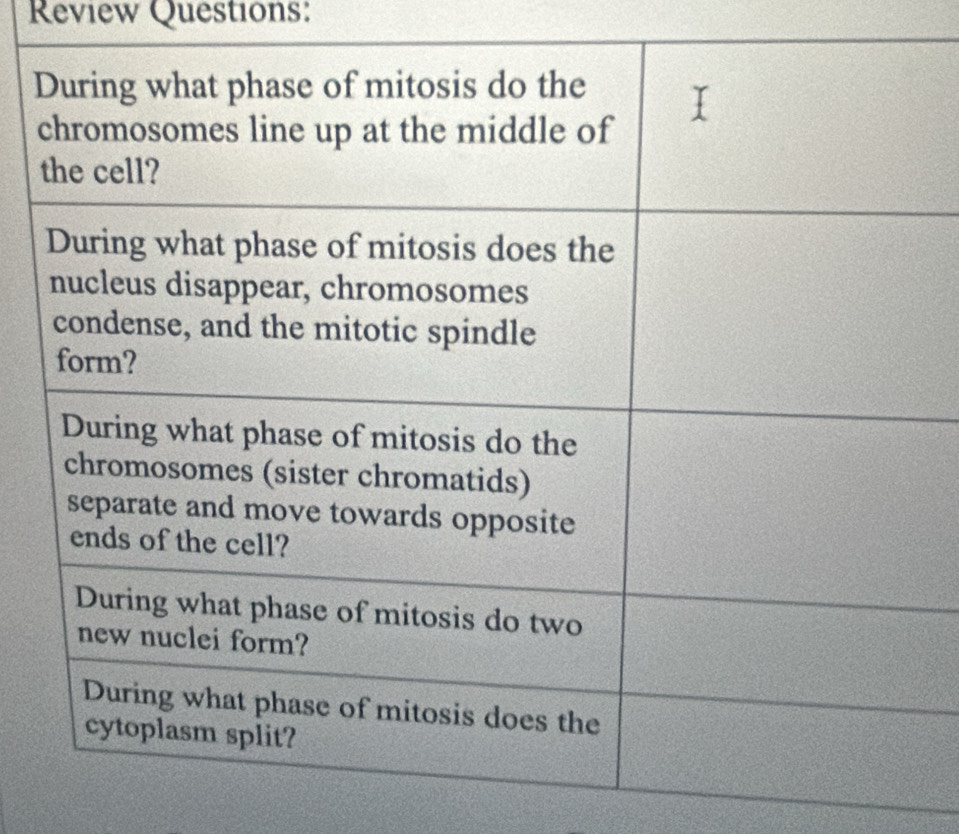 Review Questions: