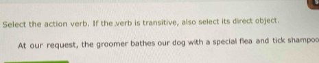 Select the action verb. If the verb is transitive, also select its direct object. 
At our request, the groomer bathes our dog with a special flea and tick shampoo