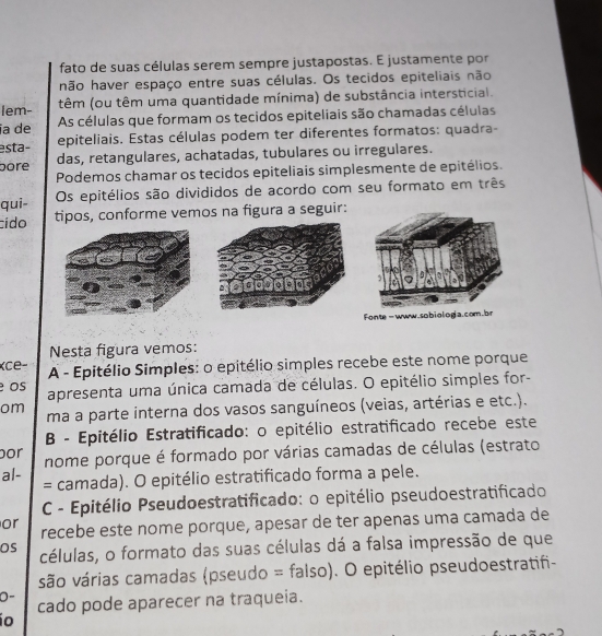 fato de suas células serem sempre justapostas. E justamente por
hão haver espaço entre suas células. Os tecidos epiteliais não
lem- têm (ou têm uma quantidade mínima) de substância intersticial.
ía de As células que formam os tecidos epiteliais são chamadas células
esta- epiteliais. Estas células podem ter diferentes formatos: quadra-
pore das, retangulares, achatadas, tubulares ou irregulares.
Podemos chamar os tecidos epiteliais simplesmente de epitélios.
qui- Os epitélios são divididos de acordo com seu formato em três
cído tipos, conforme vemos na figura a seguir:
Nesta figura vemos:
K ce A - Epitélio Simples: o epitélio simples recebe este nome porque
Os apresenta uma única camada de células. O epitélio simples for-
om ma a parte interna dos vasos sanguíneos (veias, artérias e etc.).
B - Epitélio Estratificado: o epitélio estratificado recebe este
or nome porque é formado por várias camadas de células (estrato
al- = camada). O epitélio estratificado forma a pele.
C - Epitélio Pseudoestratificado: o epitélio pseudoestratificado
or recebe este nome porque, apesar de ter apenas uma camada de
OS células, o formato das suas células dá a falsa impressão de que
são várias camadas (pseudo = falso). O epitélio pseudoestratifi-
0- cado pode aparecer na traqueia.
ío