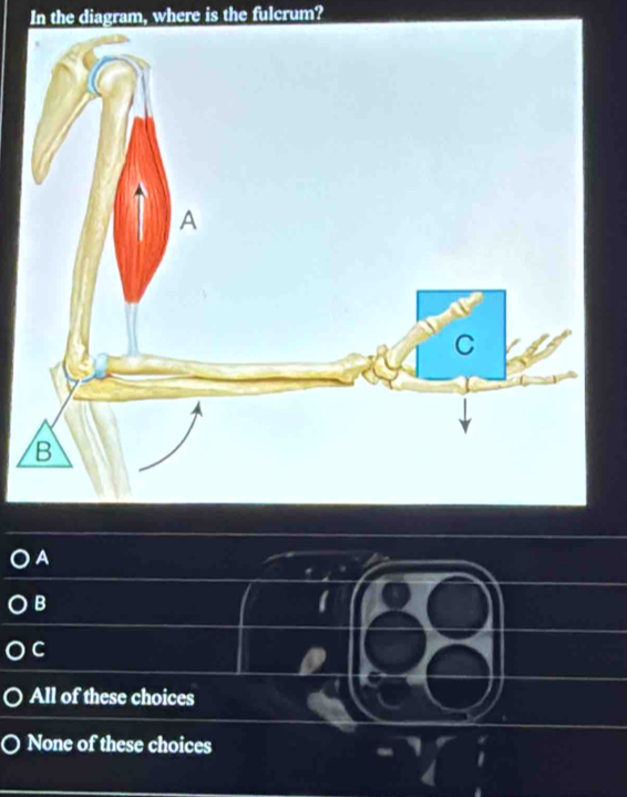 In the diagram, where is the fulcrum?
A
B
C
All of these choices
None of these choices