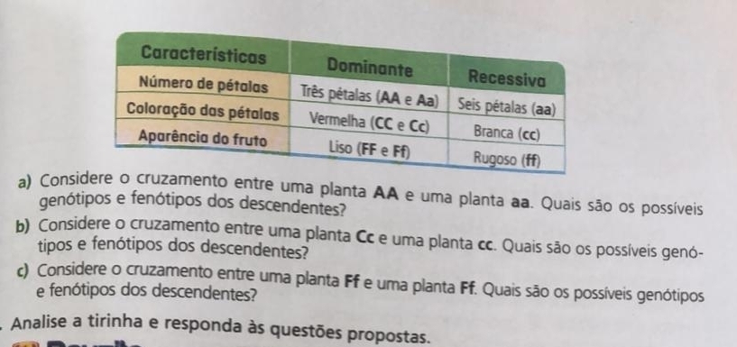 Consnto entre uma planta AA e uma planta aa. Quais são os possíveis 
genótipos e fenótipos dos descendentes? 
b) Considere o cruzamento entre uma planta Cc e uma planta cc. Quais são os possíveis genó- 
tipos e fenótipos dos descendentes? 
c) Considere o cruzamento entre uma planta Ff e uma planta Ff. Quais são os possíveis genótipos 
e fenótipos dos descendentes? 
Analise a tirinha e responda às questões propostas.