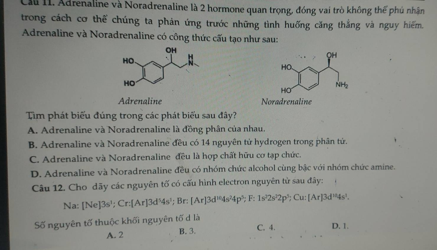 Cầu 11. Adrenaline và Noradrenaline là 2 hormone quan trọng, đóng vai trò không thế phú nhận
trong cách cơ thể chúng ta phản ứng trước những tình huống căng thắng và nguy hiểm.
Adrenaline và Noradrenaline có công thức cấu tạo như sau:
Adrenaline Noradrenaline
Tìm phát biểu đúng trong các phát biểu sau đây?
A. Adrenaline và Noradrenaline là đồng phân của nhau.
B. Adrenaline và Noradrenaline đều có 14 nguyên tử hydrogen trong phân tử.
C. Adrenaline và Noradrenaline đều là hợp chất hữu cơ tạp chức.
D. Adrenaline và Noradrenaline đều có nhóm chức alcohol cùng bậc với nhóm chức amine.
Câu 12. Cho dãy các nguyên tố có cấu hình electron nguyên tử sau đây:
Na: [Ne]3s^1;Cr:[Ar]3d^54s^1; Br: [Ar]3d^(10)4s^24p^5;F:1s^22s^22p^5; Cu: [Ar]3d^(10)4s^1.
Số nguyên tố thuộc khối nguyên tố d là
C. 4. D. 1.
A. 2
B. 3.