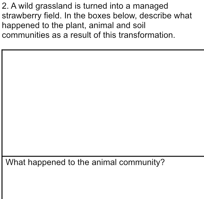 A wild grassland is turned into a managed 
strawberry field. In the boxes below, describe what 
happened to the plant, animal and soil 
communities as a result of this transformation. 
What happened to the animal community?