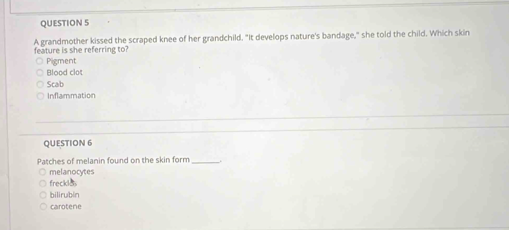 A grandmother kissed the scraped knee of her grandchild. "It develops nature's bandage," she told the child. Which skin
feature is she referring to?
Pigment
Blood clot
Scab
Inflammation
QUESTION 6
Patches of melanin found on the skin form _.
melanocytes
freckles
bilirubin
carotene