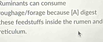 Ruminants can consume 
roughage/forage because [A] digest 
these feedstuffs inside the rumen and 
eticulum.