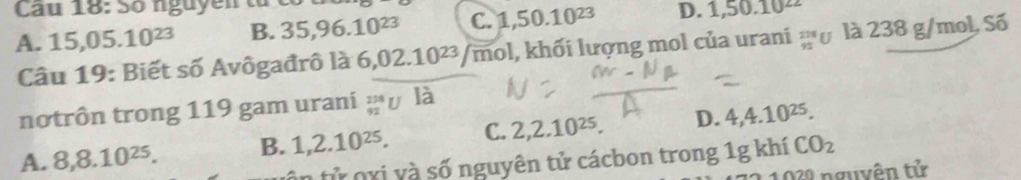 Cau 18: Số nguyễn tà
A. 15, 05.10^(23) B. 35, 96.10^(23) C. 1,50.10^(23) D. 1,50.10^(22)
Câu 19: Biết số Avôgađrô là 6,02.10^(23)/mol , khối lượng mol của urani _(92)^(238)U là 238 g/mol, Số
nơtrôn trong 119 gam urani _(92)^(234)U
A. 8, 8.10^(25).
B. 1,2.10^(25). C. 2, 2.10^(25). D. 4, 4.10^(25). 
ôn tử oxi và số nguyên tử cácbon trong 1g khí CO_2
022 nguyên tử