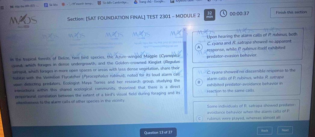 Mể ập thư đến (67) Tại liệu " +१e"manth temp.. Từ điển Cambridge... Trang chủ - Google...
32
Section: [SAT FOUNDATION FINAL] TEST 2301 - MODULE 2 min 00:00:37 Finish this section
Upon hearing the alarm calls of P. rubinus, both
C. cyana and R. satrapa showed no apparent
A
response, while P. rubinus itself exhibited
In the tropical forests of Belize, two bird species, the Azure-winged Magpie (Cyanopica predator-evasion behavior.
cyana), which forages in dense undergrowth, and the Golden-crowned Kinglet (Regulus
satrapa, which forages in more open spaces or areas with less dense vegetation, share their
habitat with the Vermilion Flycatcher (Pyrocephalus rubinus), noted for its loud alarm call C. cyana showed no discernible response to the
upon detecting predators. Ecologist Maya Torres and her research group, studying the B alarm calls of P. rubinus, while R. satrapa
interactions within this shared ecological community, theorized that there is a direct exhibited predator-avoidance behavior in
proportional correlation between the extent of a bird's visual field during foraging and its reaction to the same calls.
attentiveness to the alarm calls of other species in the vicinity.
Some individuals of R. satrapa showed predator
avoidance behavior when the alarm calls of P
C rubinus were played, whereas almost all
Question 13 of 27 Back Noxt