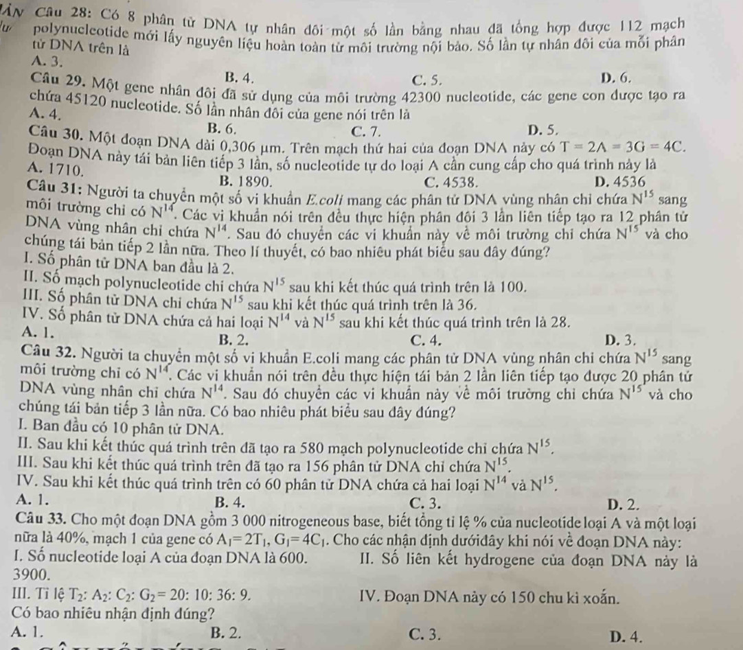 àn * Câu 28: Có 8 phân tử DNA tự nhân đôi một số lần bằng nhau đã tổng hợp được 112 mạch
polynucleotide mới lấy nguyên liệu hoàn toàn từ môi trường nội bảo. Số lần tự nhân đôi của mỗi phân
tử DNA trên là
A. 3.
B. 4. C. 5. D. 6.
Câu 29. Một gene nhân đôi đã sử dụng của môi trường 42300 nucleotide, các gene con được tạo ra
chứa 45120 nucleotide. Số lần nhân đôi của gene nói trên là
A. 4.
B. 6. C. 7. D. 5.
Câu 30. Một đoạn DNA dài 0,306 μm. Trên mạch thứ hai của đoạn DNA này có T=2A=3G=4C.
Đoạn DNA này tái bản liên tiếp 3 lần, số nucleotide tự do loại A cần cung cấp cho quá trình này là
A. 1710.
B. 1890. C. 4538. D. 4536
Câu 31: Người ta chuyển một số vi khuẩn E.coli mang các phân tử DNA vùng nhân chỉ chứa N^(15) sang
môi trường chỉ có N' Các vị khuẩn nói trên đều thực hiện phân đội 3 lần liên tiếp tạo ra 12 phân tử
DNA vùng nhân chỉ chứa N^(14). Sau đó chuyển các vi khuẩn này về môi trường chỉ chứa N^(15) và cho
chúng tái bản tiếp 2 lần nữa. Theo lí thuyết, có bao nhiêu phát biểu sau đây đúng?
I. Số phân tử DNA ban đầu là 2.
II. Số mạch polynucleotide chi chứa N^(15) sau khi kết thúc quá trình trên là 100.
III. Số phân tử DNA chỉ chứa N^(15) sau khi kết thúc quá trình trên là 36.
IV. Số phân từ DNA chứa cả hai loại N^(14) và N^(15) sau khi kết thúc quá trình trên là 28.
A. 1.
B. 2. C. 4. D. 3.
Câu 32. Người ta chuyển một số vi khuẩn E.coli mang các phân tử DNA vùng nhân chi chứa N^(15) sang
môi trường chỉ có N^(14). Các vi khuẩn nói trên đều thực hiện tái bản 2 lần liên tiếp tạo được 20 phân tử
DNA vùng nhân chỉ chứa N^(14). Sau đó chuyền các vi khuẩn này về môi trường chỉ chứa N^(15) và cho
chúng tái bản tiếp 3 lần nữa. Có bao nhiêu phát biểu sau dây đúng?
I. Ban đầu có 10 phân tử DNA.
II. Sau khi kết thủc quá trình trên đã tạo ra 580 mạch polynucleotide chỉ chứa N^(15).
III. Sau khi kết thúc quá trình trên đã tạo ra 156 phân tử DNA chỉ chứa N^(15).
IV. Sau khi kết thúc quá trình trên có 60 phân tử DNA chứa cả hai loại N^(14) và N^(15).
A. 1. B. 4. C. 3. D. 2.
Câu 33. Cho một đoạn DNA gồm 3 000 nitrogeneous base, biết tổng tỉ lệ % của nucleotide loại A và một loại
nữa là 40%, mạch 1 của gene có A_1=2T_1,G_1=4C_1. Cho các nhận định dướiđây khi nói về đoạn DNA này:
I. Số nucleotide loại A của đoạn DNA là 600. II. Số liên kết hydrogene của đoạn DNA này là
3900.
III. Tỉ lệ T_2:A_2:C_2:G_2=20:10:36:9. IV. Đoạn DNA này có 150 chu kì xoắn.
Có bao nhiêu nhận định đúng?
A. 1. B. 2. C. 3. D. 4.