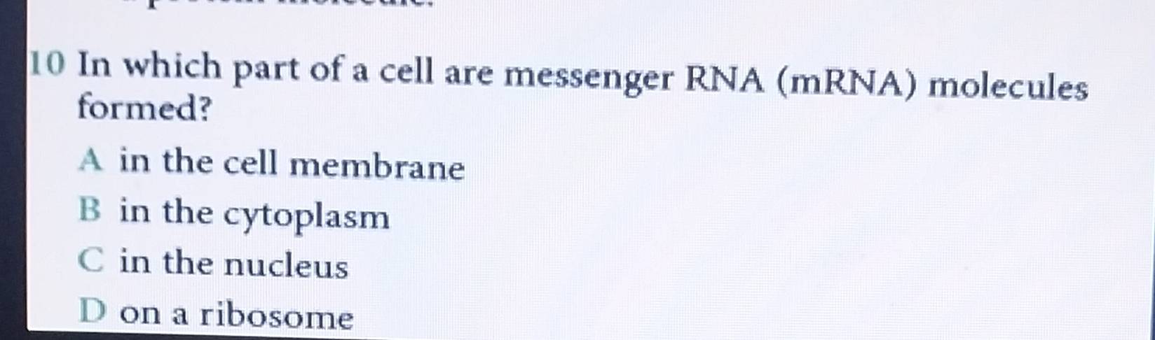 In which part of a cell are messenger RNA (mRNA) molecules
formed?
A in the cell membrane
B in the cytoplasm
C in the nucleus
D on a ribosome