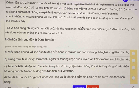 Để nghiên cứu về tập tính tha rác về làm tổ ở vẹt xanh, người ta tiến hành thí nghiệm như sau: Lai giữa vẹt 
xanh cái đầu đỏ, cổ đỏ (có tập tính tha rác làm tổ bằng mỏ) với vẹt xanh đực đầu đỏ, cổ vàng (có tập tính tha 
rác bằng cách nhét chúng vào phần lông vũ). Con lai sinh ra được chia làm hai lô thí nghiệm: 
- Lỗ 1: Không cho sống chung với mẹ. Kết quả: Con lai chỉ tha rác bằng cách cố gắng nhét rác vào lồng vũ 
cho đến khi đẩy 
- Lô 2: Cho sống chung với mẹ. Kết quả: Khi tha rác con lai cố nhét rác vào dưới lông vũ, đến khi không nhét 
rác được nữa thì chúng tha rác bằng mỏ về tổ. 
Mỗi nhận định sau đây là Đúng hay Sai? 
(Nhấp vào ô màu vàng để chọn đúng / sai) 
a) Việc sống chung với mẹ ảnh hưởng đến hành vi tha rác của con lai trong thí nghiệm nghiên cứu này. 
b) Trong thực tế nuôi vẹt làm cảnh, người ta thường chọn huấn luyện vẹt từ lúc mới nở sẽ dễ thuần hơn. 
c) Sự khác biệt về tập tính ở con lai trong hai lô thí nghiệm trên chứng tỏ môi trường sống và các nhân 
tố xung quanh đã ảnh hưởng đến tập tính của vẹt xanh. 
d) Tập tính tha rác bằng cách nhét vào lông vũ là tập tính bầm sinh, sinh ra đã có và làm theo bản 
nǎng