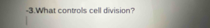 What controls cell division?