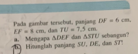 Pada gambar tersebut, panjang DF=6cm,
EF=8cm , dan TU=7.5cm. 
a. Mengapa △ DEF dan △ STU sebangun? 
b. Hitunglah panjang SU, DE, dan ST!