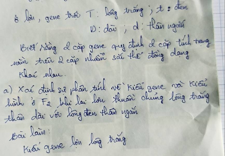 Aai, gene thà T: long tiāng; t= dén
D: dāo;dì thāin ugau
Biet raing d cap gene auy stuch d cap til tong
nai ten Q cāp when sà the dōig dang
rhar alou.
a) xat di se phān xi nxièn gene ná kiāi
hind 8 F_2 Lhi Rai lou sthuān chung long tiang
thān dài vói long den thān ugain
Boi lain
Kuái gene Càn long hāng