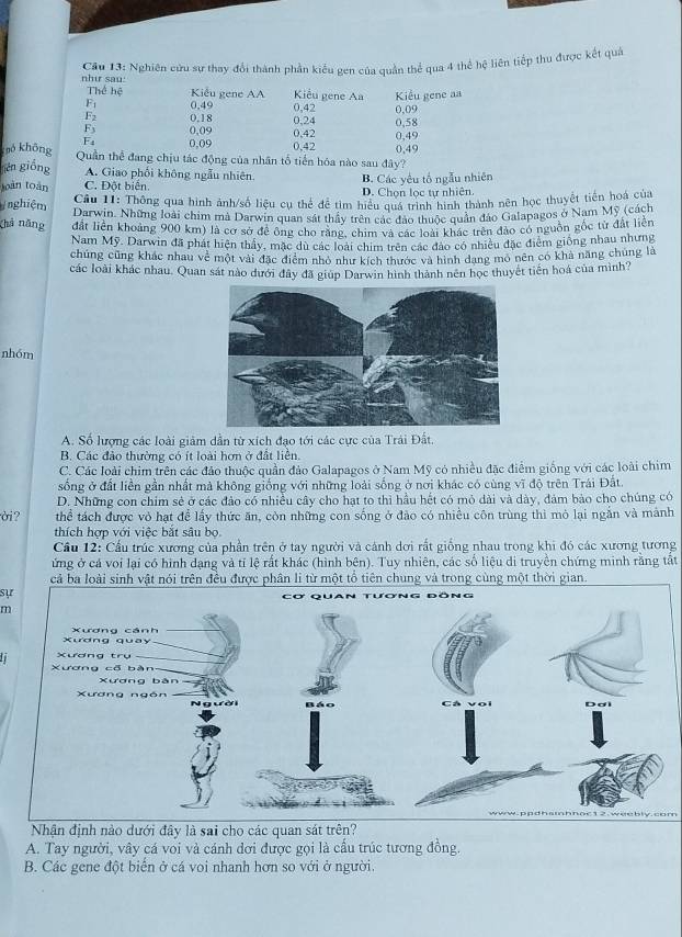 Cầu 13: Nghiên cửu sự thay đổi thành phần kiểu gen của quản thể qua 4 thể hệ liên tiếp thu được kết quả
như sau: Kiểu gene Aa Kiểu gene aa
Thể hệ Kiểu gene AA
overline Y 0.49
E_2 0.18 0.24 0,42 0.09
F_3 0,09 0.42 0,58
F_4 0,09 0.42 0.49
khó không Quần thể đang chịu tác động của nhân tổ tiến hóa nào sau đây? 0.49
ién giống A. Giao phối không ngẫu nhiên
loàn toàn C. Đột biên D. Chọn lọc tự nhiên B. Các yêu tổ ngẫu nhiên
Cầu 11: Thông qua hình ảnh/số liệu cụ thể đề tìm hiểu quá trình hình thành nên học thuyết tiên hoa của
nghiệm Darwin. Những loài chim mà Darwin quan sát thầy trên các đảo thuộc quản đảo Galapagos ở Nam Mỹ (cách
Chả năng đất liên khoảng 900 km) là cơ sở để ông cho răng, chim và các loài khác trên đảo có nguồn gốc từ đất liên
Nam Mỹ. Darwin đã phát hiện thầy, mặc dù các loài chim trên các đảo có nhiều đặc điểm giống nhau nhưng
chúng cũng khác nhau về một vài đặc điểm nhỏ như kích thước và hình dang mô nên có khả năng chúng là
các loài khác nhau. Quan sát nào dưới đây đã giúp Darwin hình thành nên học thuyết tiến hoá của mình?
nhóm
A. Số lượng các loài giảm dẫn từ xích đạo tới các cực của Trái Đất.
B. Các đảo thường có ít loài hơn ở đất liền.
C. Các loài chim trên các đảo thuộc quần đảo Galapagos ở Nam Mỹ có nhiều đặc điểm giống với các loài chim
sống ở đất liền gần nhất mả không giống với những loài sống ở nơi khác có cùng vĩ độ trên Trái Đất.
D. Những con chim sẻ ở các đảo có nhiều cây cho hạt to thì hầu hết có mỏ dài và dày, đảm bảo cho chúng có
ời? thể tách được vỏ hạt để lấy thức ăn, còn những con sống ở đảo có nhiều côn trùng thì mỏ lại ngắn và mảnh
thích hợp với việc bắt sâu bọ
Cầu 12: Cầu trúc xương của phần trên ở tay người và cảnh dơi rất giống nhau trong khi đó các xương tương
ứng ở cá voi lại có hình dạng và tỉ lệ rất khác (hình bên). Tuy nhiên, các số liệu di truyền chứng minh rằng tắt
sự
m
Nhận định nào dưới đây là sai cho các quan sát trên?
A. Tay người, vây cá voi và cánh dơi được gọi là cấu trúc tương đồng.
B. Các gene đột biến ở cá voi nhanh hơn so với ở người.