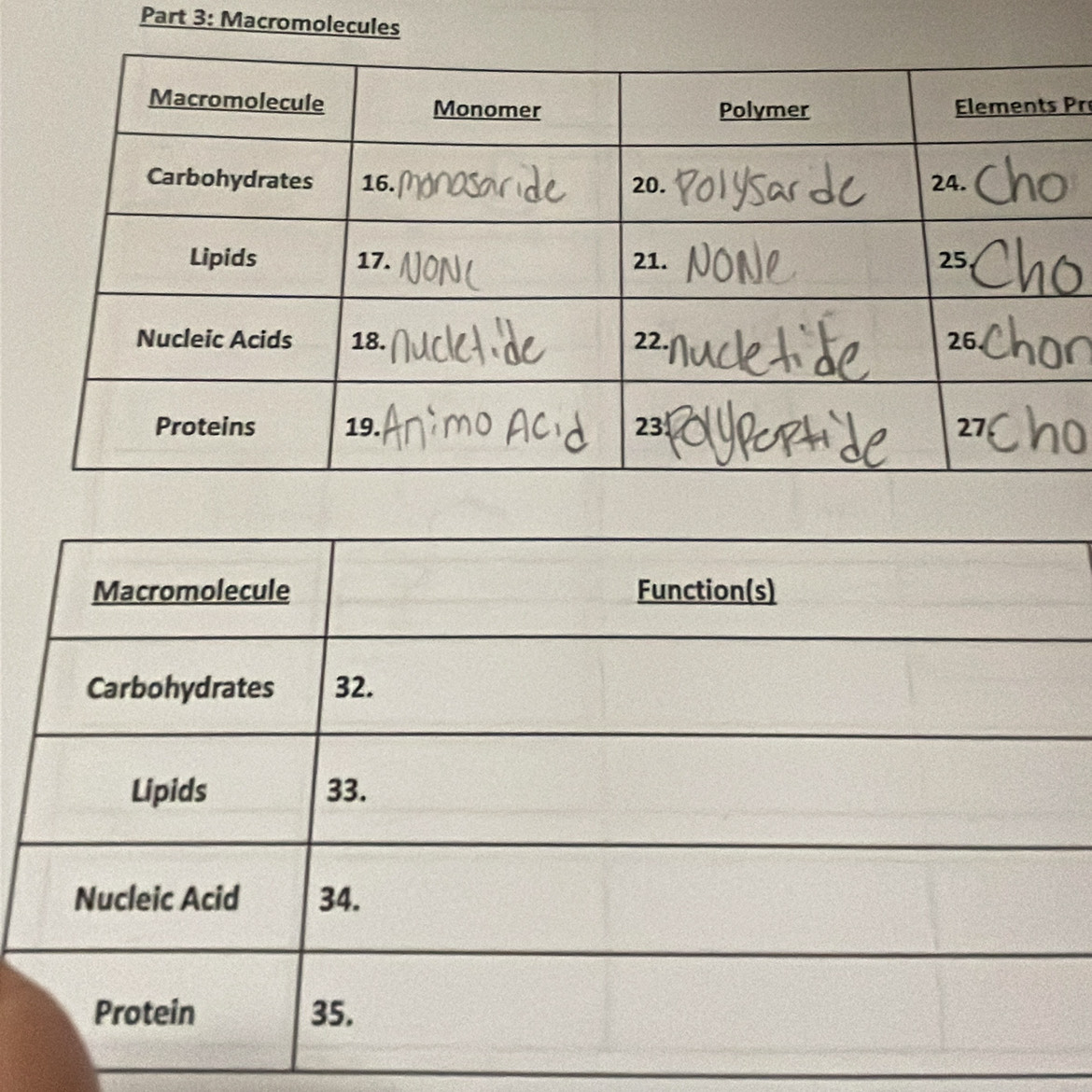 Macromolecules 
Pr