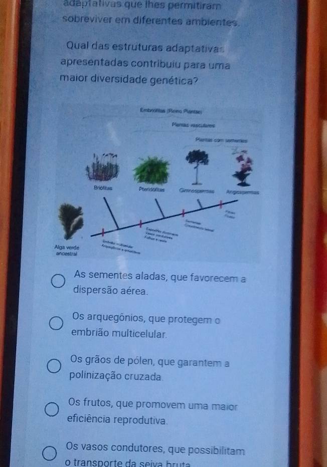 adaptativas que lhes permitiram
sobreviver em diferentes ambientes.
Qual das estruturas adaptativas
apresentadas contribuiu para uma
maior diversidade genética?
As sementes aladas, que favorecem a
dispersão aérea.
Os arquegônios, que protegem o
embrião multicelular.
Os grãos de pólen, que garantem a
polinização cruzada.
Os frutos, que promovem uma maior
eficiência reprodutiva.
Os vasos condutores, que possibilitam
o transporte da seiva bru ta