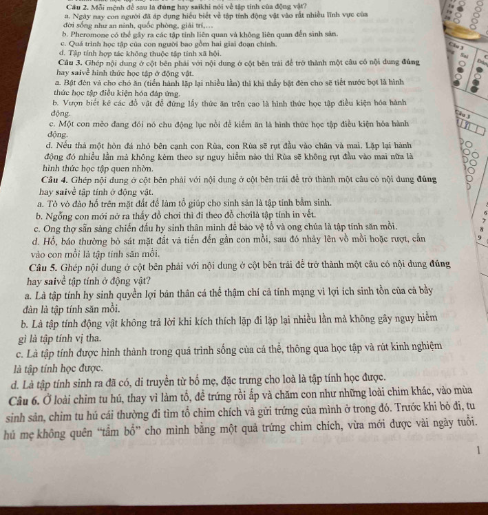 Mỗi mệnh đề sau là đúng hay saikhi nói về tập tính của động vật? 1
a. Ngày nay con người đã áp dụng hiểu biết về tập tính động vật vào rất nhiều lĩnh vực của
13 。
đời sống như an ninh, quốc phòng, giải trí,...
b. Pheromone có thể gây ra các tập tính liên quan và không liên quan đến sinh sản.
c. Quá trình học tập của con người bao gồm hai giai đoạn chính.
Clu 3 C
d. Tập tính hợp tác không thuộc tập tính xã hội.
Sai
Câu 3. Ghép nội dung ở cột bên phải với nội dung ở cột bên trái để trở thành một câu có nội dung đúng Đân
hay saivề hình thức học tập ở động vật.
a. Bật đèn và cho chó ăn (tiến hành lặp lại nhiều lần) thì khi thấy bật đèn cho sẽ tiết nước bọt là hình
thức học tập điều kiện hóa đáp ứng.
b. Vượn biết kê các đồ vật để đứng lấy thức ăn trên cao là hình thức học tập điều kiện hóa hành
động. Câu 3
c. Một con mèo đang đói nó chu động lục nồi để kiếm ăn là hình thức học tập điều kiện hóa hành 54
động.
d. Nếu thả một hòn đá nhỏ bên cạnh con Rùa, con Rùa sẽ rụt đầu vào chân và mai. Lặp lại hành
động đó nhiều lần mà không kèm theo sự nguy hiểm nào thì Rùa sẽ không rụt đầu vào mai nữa là
hình thức học tập quen nhờn.
Câu 4. Ghép nội dung ở cột bên phải với nội dung ở cột bên trái để trở thành một câu có nội dung đúng
hay saivề tập tính ở động vật.
a. Tò vò đào hố trên mặt đất để làm tổ giúp cho sinh sản là tập tính bẩm sinh.
b. Ngỗng con mới nở ra thấy đồ chơi thì đi theo đồ chơilà tập tính in vết. 6
7
c. Ong thợ sẵn sàng chiến đấu hy sinh thân mình để bảo vệ tổ và ong chúa là tập tính săn mồi.
8
d. Hổ, báo thường bò sát mặt đất và tiến đến gần con mồi, sau đó nhảy lên vồ mồi hoặc rượt, cắn 9
vào con mồi là tập tính săn mồi.
Câu 5. Ghép nội dung ở cột bên phải với nội dung ở cột bên trái để trở thành một câu có nội dung đúng
hay saivề tập tính ở động vật?
a. Là tập tính hy sinh quyền lợi bản thân cá thể thậm chí cả tính mạng vì lợi ích sinh tồn của cả bầy
đàn là tập tính săn mồi.
b. Là tập tính động vật không trả lời khi kích thích lặp đi lặp lại nhiều lần mà không gây nguy hiểm
gì là tập tính vị tha.
c. Là tập tính được hình thành trong quá trình sống của cá thể, thông qua học tập và rút kinh nghiệm
là tập tính học được.
d. Là tập tính sinh ra đã có, di truyền từ bố mẹ, đặc trưng cho loà là tập tính học được.
Câu 6. Ở loài chim tu hú, thay vì làm tổ, đề trứng rồi ấp và chăm con như những loài chim khác, vào mùa
sinh sản, chim tu hú cái thường đi tìm tổ chim chích và gửi trứng của mình ở trong đó. Trước khi bỏ đi, tu
hủ mẹ không quên “tẩm bổ” cho mình bằng một quả trứng chim chích, vừa mới được vài ngày tuổi.