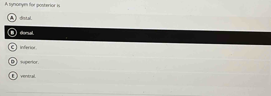A synonym for posterior is
A) distal.
Bdorsal.
C) inferior.
D superior.
E  ventral.