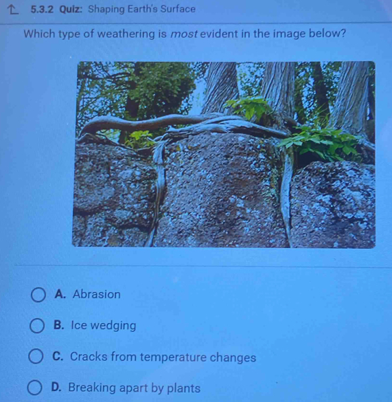 Shaping Earth's Surface
Which type of weathering is most evident in the image below?
A. Abrasion
B. Ice wedging
C. Cracks from temperature changes
D. Breaking apart by plants