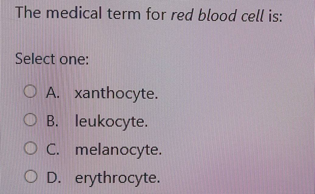 The medical term for red blood cell is:
Select one:
A. xanthocyte.
B. leukocyte.
C. melanocyte.
D. erythrocyte.