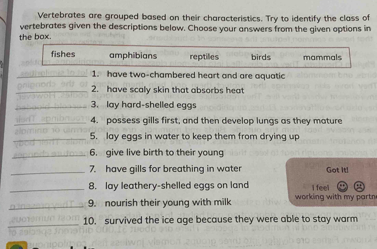 Vertebrates are grouped based on their characteristics. Try to identify the class of
vertebrates given the descriptions below. Choose your answers from the given options in
the box.
fishes amphibians reptiles birds mammals
_1. have two-chambered heart and are aquatic
_2. have scaly skin that absorbs heat
_3. lay hard-shelled eggs
_4. possess gills first, and then develop lungs as they mature
aramint
_5. lay eggs in water to keep them from drying up
VK
_6. give live birth to their young
_7. have gills for breathing in water Got It!
_8. lay leathery-shelled eggs on land I feel
_9. nourish their young with milk
working with my partn 
_2001en 10. survived the ice age because they were able to stay warm