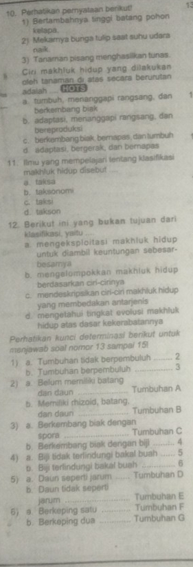 Perhatikan pernyataan berikut! 13
1) Bertambahnya tinggl batang pohon
kelapa.
2) Mekarya bunga tulip saat suhu udara
naik.
3) Tanaman pisang menghasilkan tunas.
Ciri makhluk hidup yang dilakukan
adalah .... HOTS  ofeh tanaman di atas secara berurutan
a. tumbuh, menanggapi rangsang, dan .
berkembang biak
b. adaptasi, menanggapi rangsang, dan
bereproduksi
c. berkembang biak. bernapas, dan tumbuh
d adaptasi, bergerak, dan berapas
11. Ilmu yang mempelajari tentang klasifikasi
makhluk hidup disebut
a. taksa
b. taksonomi
c. taksi
d. takson
12. Berikut ini yang bukan tujuan dari
Ilasifikasi, yaitu .
a. mengeksploitasi makhluk hidup
untuk diambil keuntungan sebesar-
besamya
b. mengelompokkan makhluk hidup
berdasarkan ciri-cirinya
c. mendeskripsikan ciri-ciri makhluk hidup
yang membedakan antarjenis
d. mengetahui tingkat evolusi makhluk
hidup atas dasar kekerabatannya
Perhatikan kunci determinasi berikut untuk
menjawab soal nomor 13 sampai 15!
1) a. Tumbuhan tidak berpembuluh _2
b. Tumbuhan berpembuluh _3
2) a. Belum memiliki batang
dan daun _Tumbuhan A
b. Memiliki rhizoid, batang.
dan daun _Tumbuhan B
3) a. Berkembang biak dengan
spora _Tumbuhan C
b. Berkembang biak dengan biji .. ..:.. 4
4) a. Biji tidak terlindungi bakal buah …… 5
b. Biji terlindungi bakal buah _6
5) a. Daun seperti jarum _Tumbuhan D
b. Daun tidak seperti
jarum _Tumbuhan E
6) a. Berkeping satu _Tumbuhan F
b. Berkeping dua _Tumbuhan G