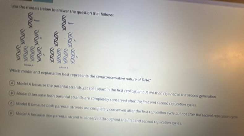 Use the models below tostion that follows:
ich model and explanation best represents the semiconservative nature of DNA?
A) Model A because the parental strands get split apart in the first replication but are then rejoined in the second generation.
e) Model B because both parental strands are completely conserved after the first and second replication cycles.
c) Model B because both parental strands are completely conserved after the first replication cycle but not after the second replication cycle
a) Model A because one parental strand is conserved throughout the first and second replication cycles.