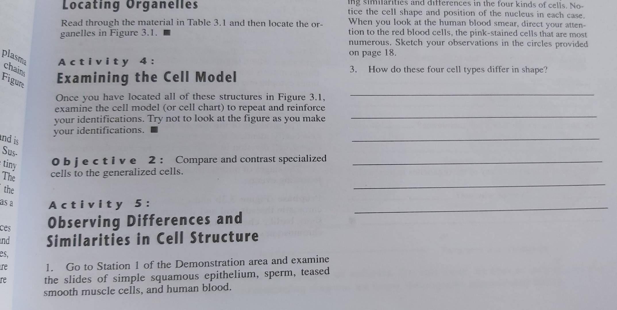 ing similarities and differences in the four kinds of cells. No- 
Locating Organelles tice the cell shape and position of the nucleus in each case. 
Read through the material in Table 3.1 and then locate the or- When you look at the human blood smear, direct your atten- 
ganelles in Figure 3.1. tion to the red blood cells, the pink-stained cells that are most 
numerous. Sketch your observations in the circles provided 
on page 18. 
plasma A c t i v i t y 4 : 
chains 
Figure Examining the Cell Model 
3. How do these four cell types differ in shape? 
Once you have located all of these structures in Figure 3.1, 
_ 
_ 
examine the cell model (or cell chart) to repeat and reinforce 
your identifications. Try not to look at the figure as you make 
_ 
your identifications. 
nd is 
Sus- 
tiny 
0 b j e c t i v e 2 : Compare and contrast specialized_ 
The 
cells to the generalized cells. 
the 
_ 
as a A c t i v i ty 5 : 
_ 
ces 
Observing Differences and 
nd 
Similarities in Cell Structure 
es, 
re 
1. Go to Station 1 of the Demonstration area and examine 
re 
the slides of simple squamous epithelium, sperm, teased 
smooth muscle cells, and human blood.