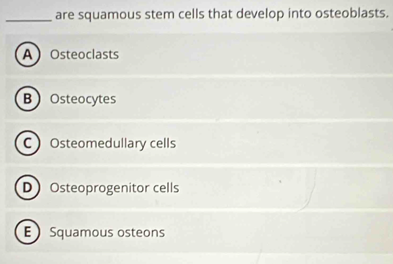 are squamous stem cells that develop into osteoblasts.
AOsteoclasts
BOsteocytes
COsteomedullary cells
DOsteoprogenitor cells
E  Squamous osteons