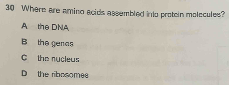 Where are amino acids assembled into protein molecules?
A the DNA
B the genes
C the nucleus
D the ribosomes