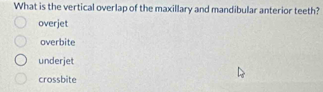Solved: What is the vertical overlap of the maxillary and mandibular ...