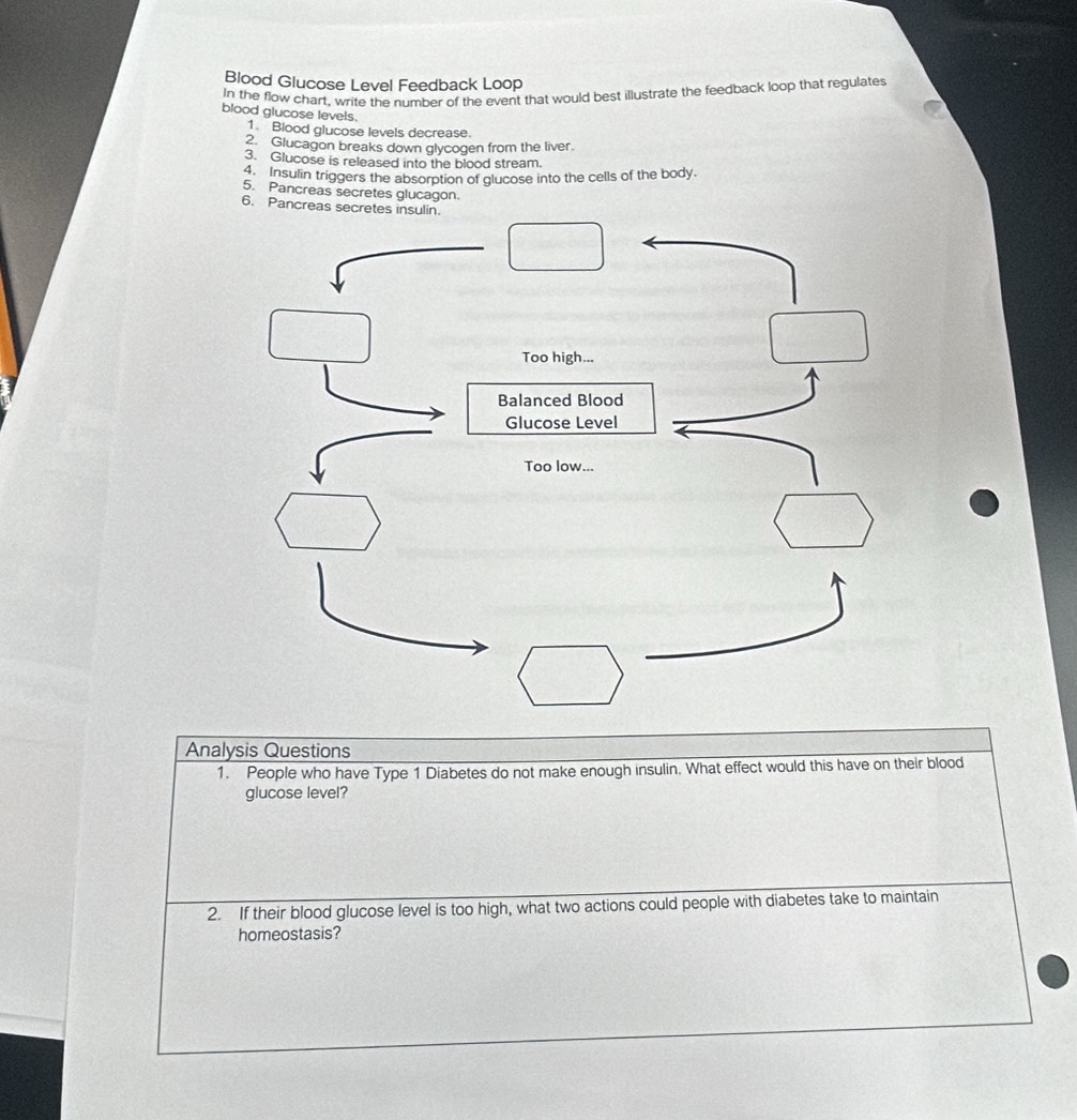 Blood Glucose Level Feedback Loop 
In the flow chart, write the number of the event that would best illustrate the feedback loop that regulates 
blood glucose levels. 
1 Blood glucose levels decrease. 
2. Glucagon breaks down glycogen from the liver. 
3. Glucose is released into the blood stream. 
4. Insulin triggers the absorption of glucose into the cells of the body. 
5. Pancreas secretes glucagon. 
6. Pancreas secr 
Analysis Questions 
1. People who have Type 1 Diabetes do not make enough insulin. What effect would this have on their blood 
glucose level? 
2. If their blood glucose level is too high, what two actions could people with diabetes take to maintain 
homeostasis?