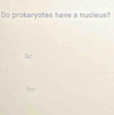 Do prokaryotes have a nucleus?
No
Yed