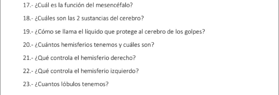 17.- ¿Cuál es la función del mesencéfalo? 
18.- ¿Cuáles son las 2 sustancias del cerebro? 
19.- ¿Cómo se llama el líquido que protege al cerebro de los golpes? 
20.- ¿Cuántos hemisferios tenemos y cuáles son? 
21.- ¿Qué controla el hemisferio derecho? 
22.- ¿Qué controla el hemisferio izquierdo? 
23.- ¿Cuantos lóbulos tenemos?