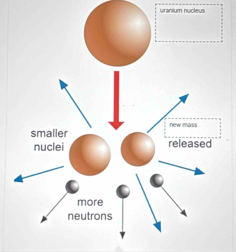 uranium nucleus