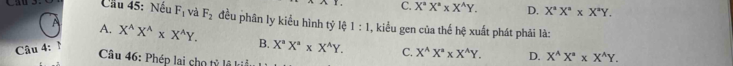 C. X^aX^a* X^AY. D. X^aX^a* X^aY. 
Cầu 45: Nếu F_1 và F_2 đều phân ly kiểu hình tỷ lệ 1:1 , kiểu gen của thế hệ xuất phát phải là:
A A. X^AX^A* X^AY. B. X^aX^a* X^AY. 
Câu 4: N
C. X^AX^a* X^AY. D. X^(wedge)X^a* X^(wedge)Y. 
Câu 46: Phép lai cho tỷ lệ kiểu