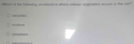 Which of the tollowing structures is where cellular respiration occurs in the cell?
vacubles
nucleus
cytopiasm
mitochondna