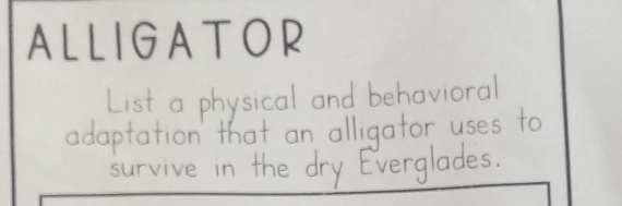 ALLIGA T OR 
List a physical and behavioral 
adaptation' that an alligator uses to 
survive in the dry Everglades.