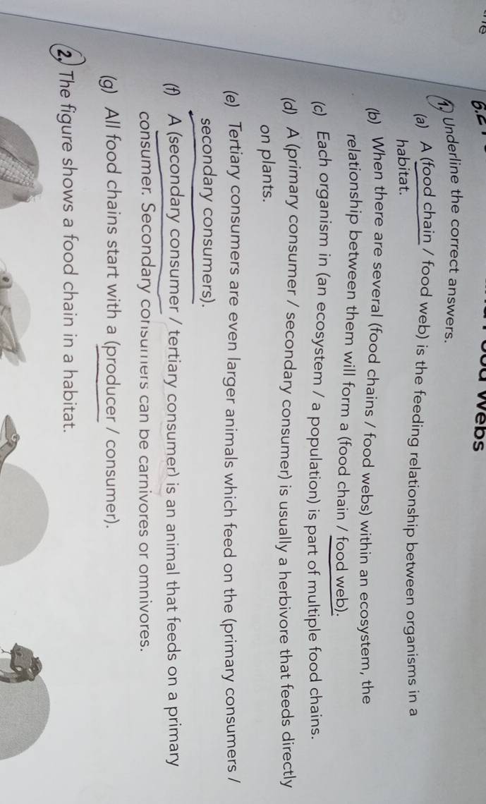 6.2 
Twebs 
Underline the correct answers. 
(a) A (food chain / food web) is the feeding relationship between organisms in a 
habitat. 
(b) When there are several (food chains / food webs) within an ecosystem, the 
relationship between them will form a (food chain / food web). 
(c) Each organism in (an ecosystem / a population) is part of multiple food chains. 
(d) A (primary consumer / secondary consumer) is usually a herbivore that feeds directly 
on plants. 
(e) Tertiary consumers are even larger animals which feed on the (primary consumers / 
secondary consumers). 
(f) A (secondary consumer / tertiary consumer) is an animal that feeds on a primary 
consumer. Secondary consumers can be carnivores or omnivores. 
(g) All food chains start with a (producer / consumer). 
2 The figure shows a food chain in a habitat.