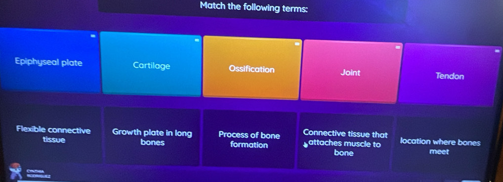 Match the following terms:
Epiphyseal plate Cartilage Ossification Tendon
Joint
Flexible connective Growth plate in long Process of bone Connective tissue that location where bones
tissue bones formation gattaches muscle to
bone meet