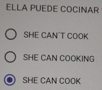 ELLA PUEDE COCINAR
SHE CAN´T COOK
SHE CAN COOKING
SHE CAN COOK