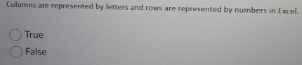 Columns are represented by letters and rows are represented by numbers in Excel.
True
False