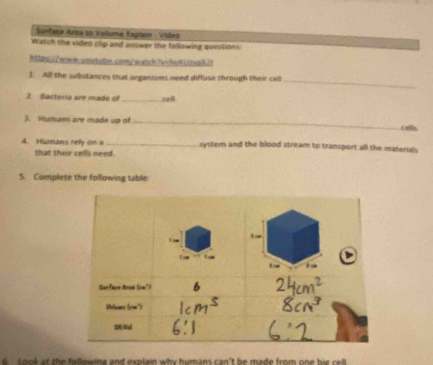 Surface Area to Volume Explain - Video
Watch the video clip and answer the following questions:
https://www.voutube.com/watch?v=huKUsoik?!
_
1. All the substances that organisms need diffuse through their cell
2. Bacteria are made of _cell
3. Humans are made up of _.cells
4. Humans rely on a _system and the blood stream to transport all the materials
that their cells need.
5. Complete the following table:
Look at the following and explain why humans can't be made from one big cel